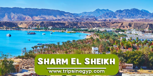 Sharm El Sheikh  - The Best Resorts in The Red Sea - www.tripsinegypt.com