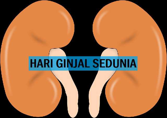 Pada Hari ini 10 Maret Hari Ginjal Sedunia Pada Hari ini 10 Maret Hari Ginjal Sedunia