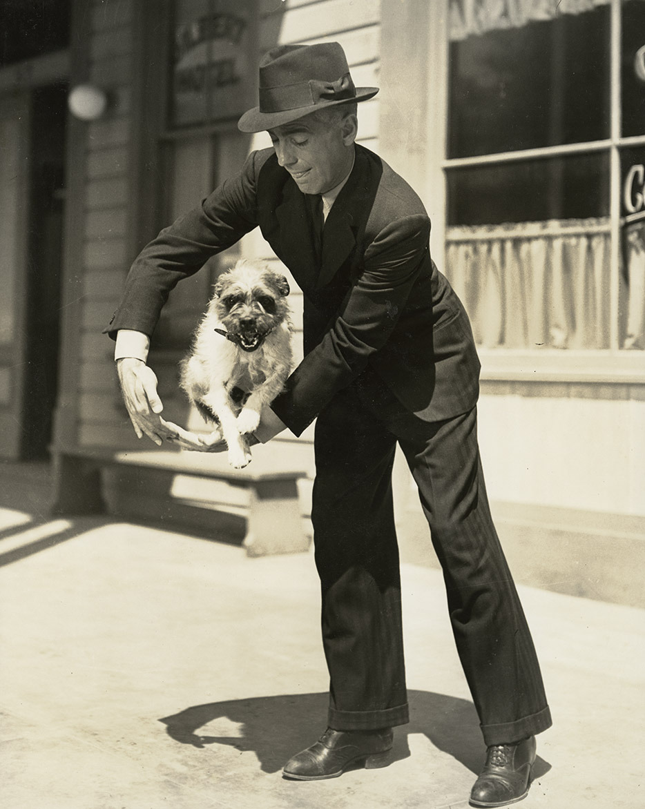 The Dark Time: Bogart, Lupino, and a dog in High Sierra