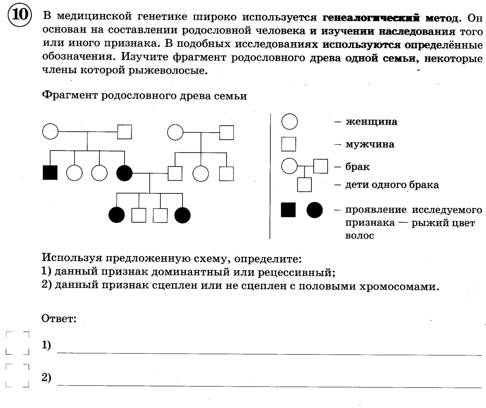 Рыжий цвет волос доминантный или рецессивный признак. Родословная с доминантным признаком. Впр генеалогический метод. Памятка для решения задач по генетике. Используя предложенную схему определите доминантным или рецессивным.
