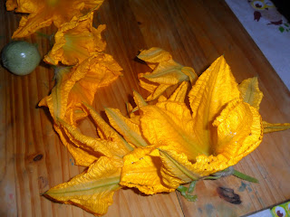 Courgette flowers ready
