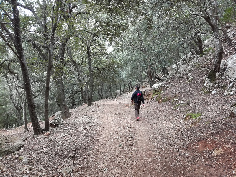 Verso el Puig Tomir, GR 221 Mallorca Verso el Puig Tomir, GR 221 Mallorca