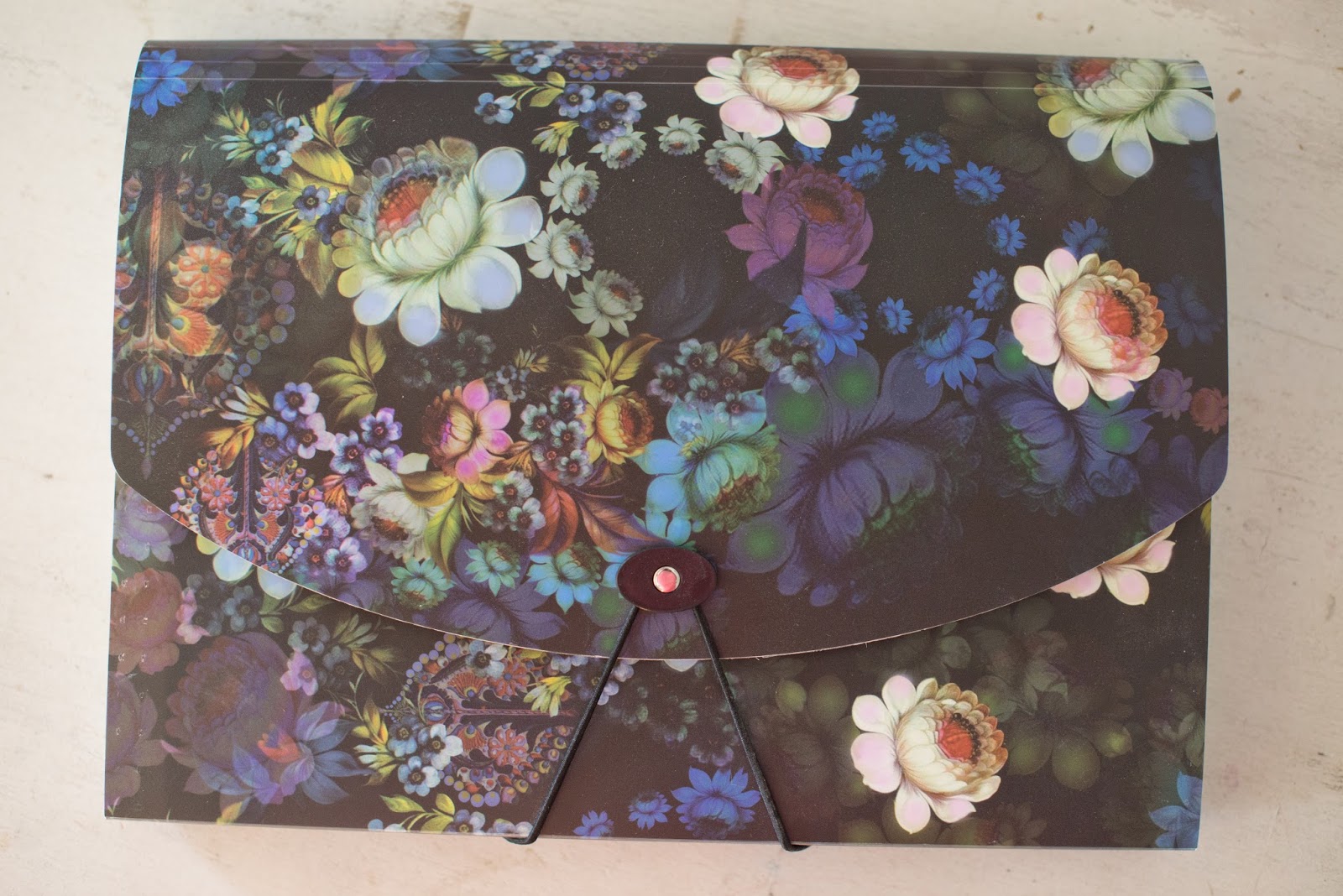 Domestic Fashionista Baby Medical Record File Folder