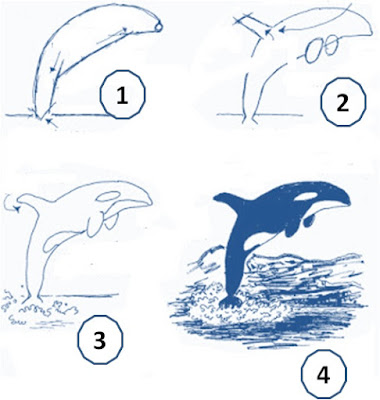 menggambar ikan paus orca