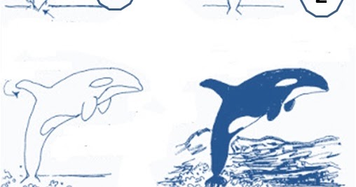 Contoh Gambar Contoh Mewarnai Ikan Paus Kataucap