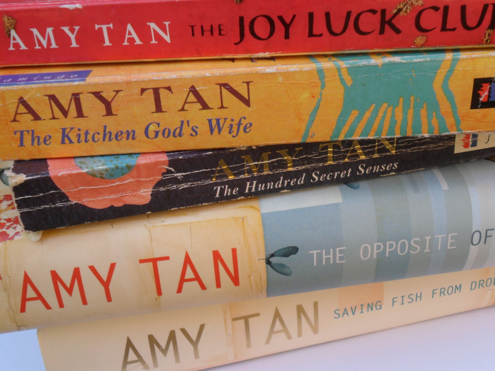 The Hundred Secret Senses by Amy Tan.