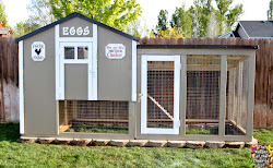 chicken coop chickens chicks