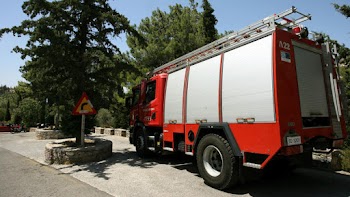 Πόσο μεγάλο είναι ένα πέος γορίλα