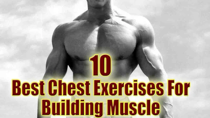 10 Best Chest Fitness Movements for body building at the GYM 10 Best Chest Fitness Movements for body building at the GYM