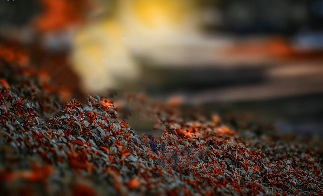 2k background