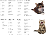 Cat Names List Female