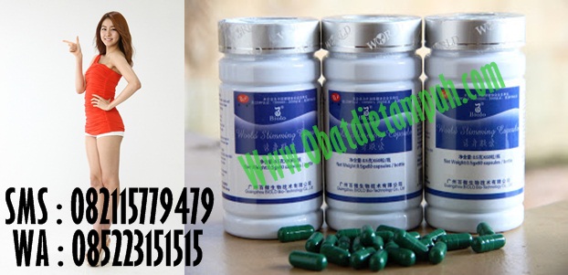 Obat Diet No 1 Wsc Biolo Obat Diet No 1 Wsc Biolo