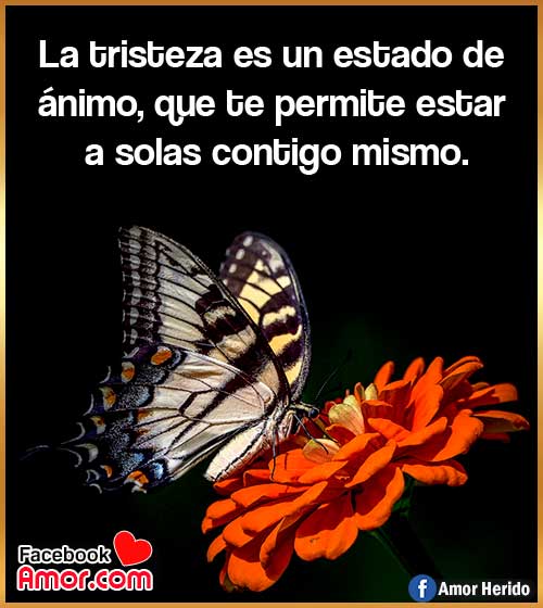 ver frases de tristeza ver frases de tristeza