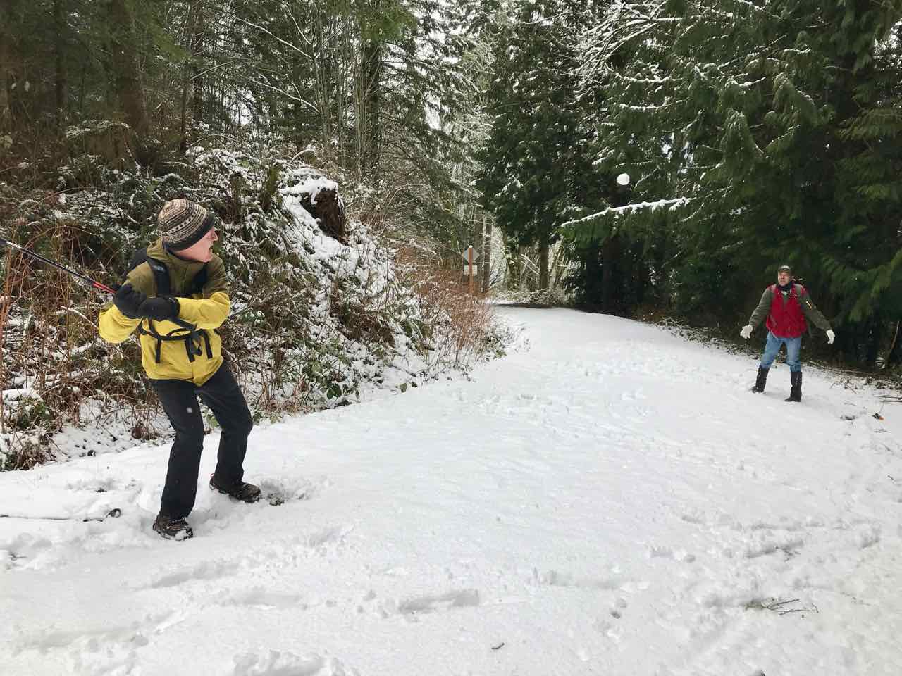 DJanity Chanterelle trail in the snow