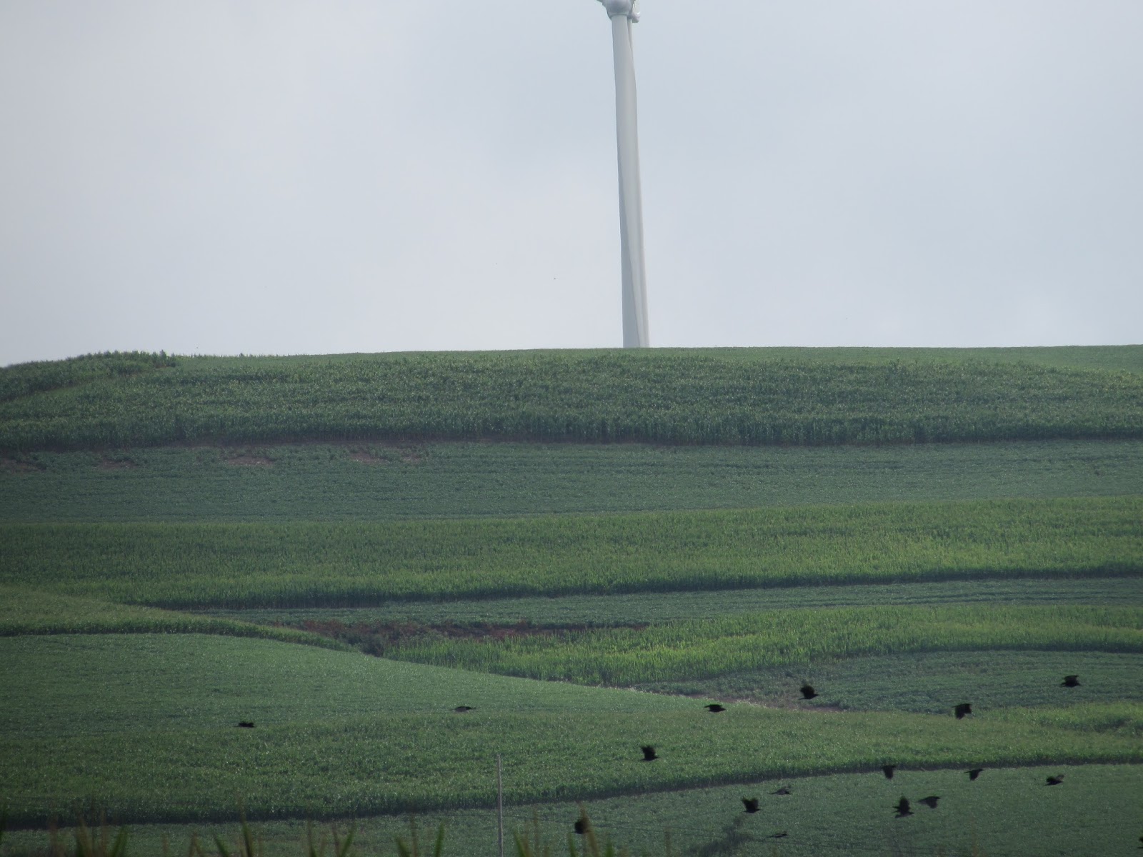 Random Cambria and Clearfield Counties Wind Farm, ATV Park, Rail