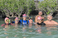 http://www.tropicallight.com/swim1/07jan18LP/07jan18LP.html