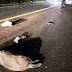 Capivara na pista deixa dois jovens gravemente feridos em colisão na BR-364