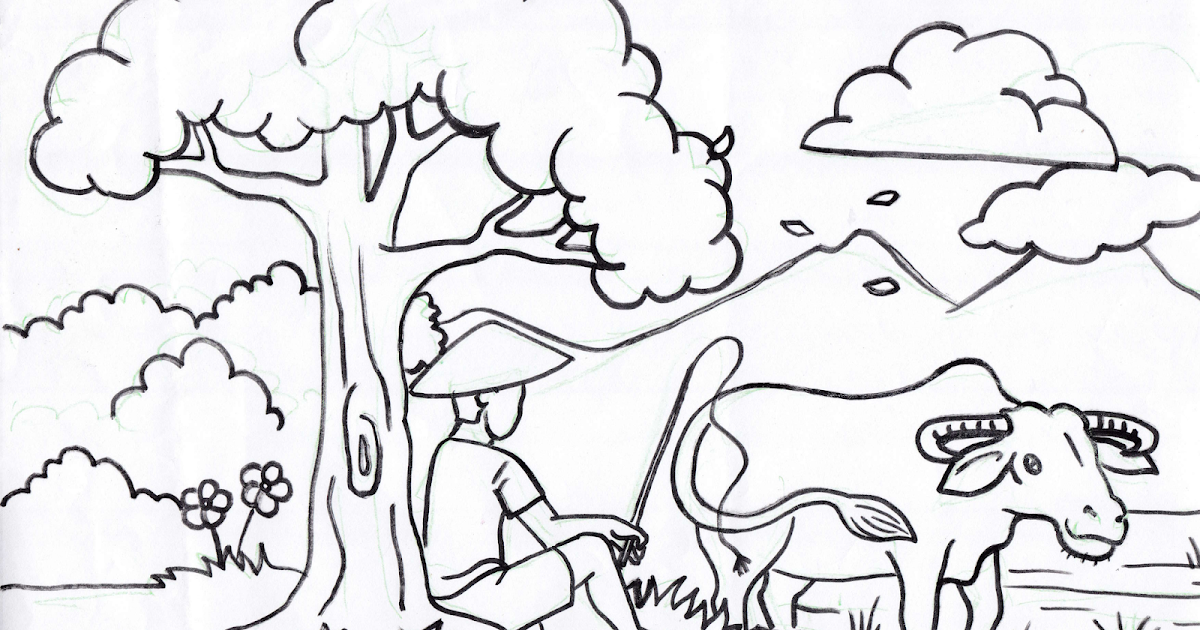 Mewarnai Pemandangan Alam Yang Indah Coloring And Drawing