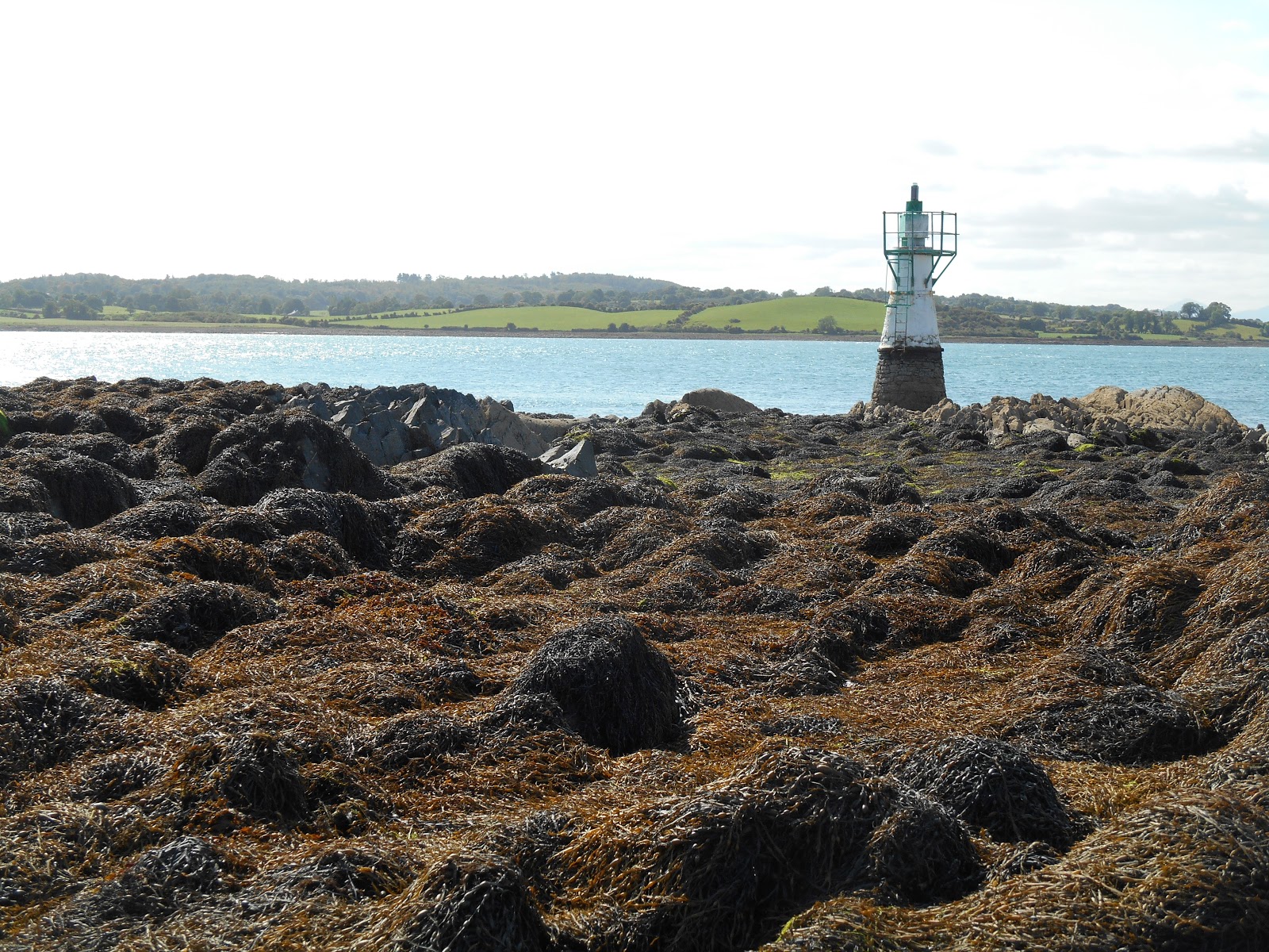 A lifetime of Islands Island 288 Ballyhenry Island, Strangford Lough