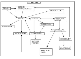Bjj Flow Chart