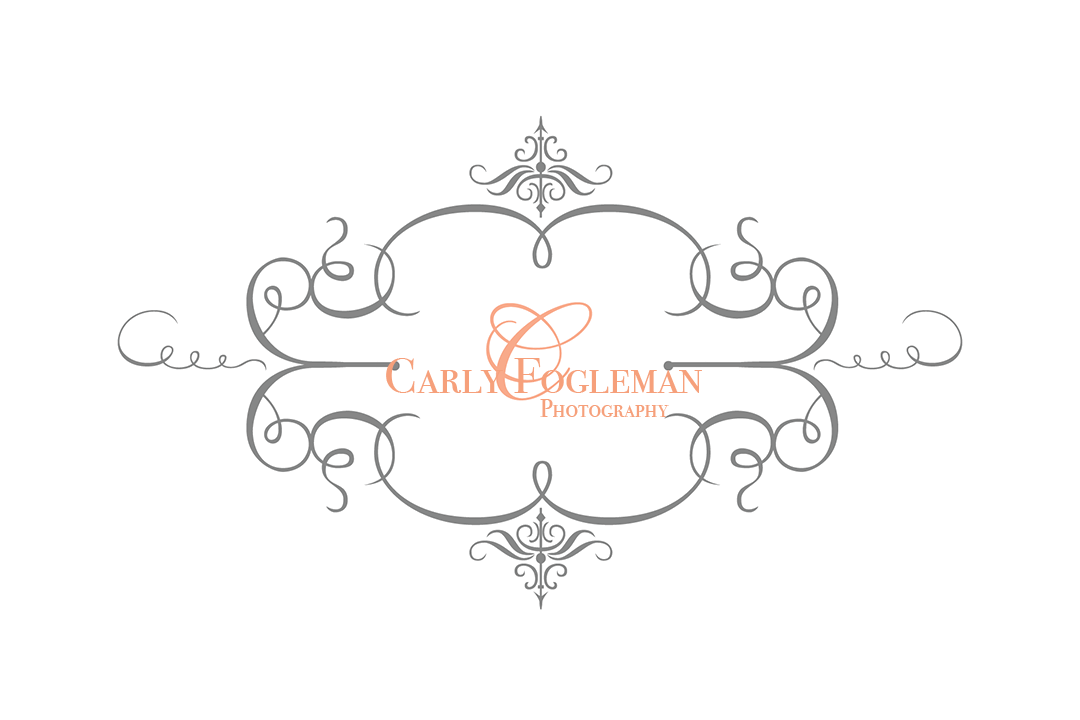 Carly Fogleman Photography The Faircloth Family