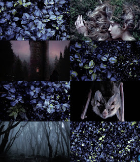 Reino-de-Sombras