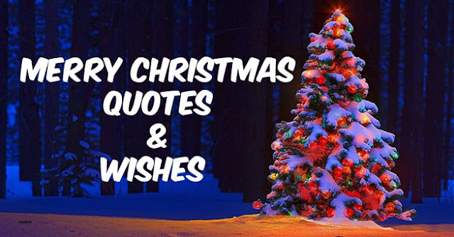 merry christmas song, merry christmas images, merry christmas song lyrics, merry christmas songs, we wish you a merry christmas youtube, merry christmas gif, we wish you a merry christmas song, mariah carey merry christmas, merry christmas images 2018, merry christmas images hd, merry christmas images free, merry christmas images 2019, merry christmas images black and white, christmas images free download, christmas images download, merry christmas pictures with jesus, merry christmas images free, merry christmas images 2018, merry christmas pictures with jesus, christmas images download, merry christmas images 2018, christmas images free download, christmas images for cards, free christmas images clip art