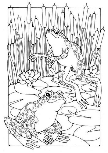 Tranh tô màu hai chú ếch trong hồ sen