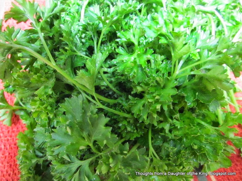 Thoughts from a Daughter of the King {Easy} Parsley Water