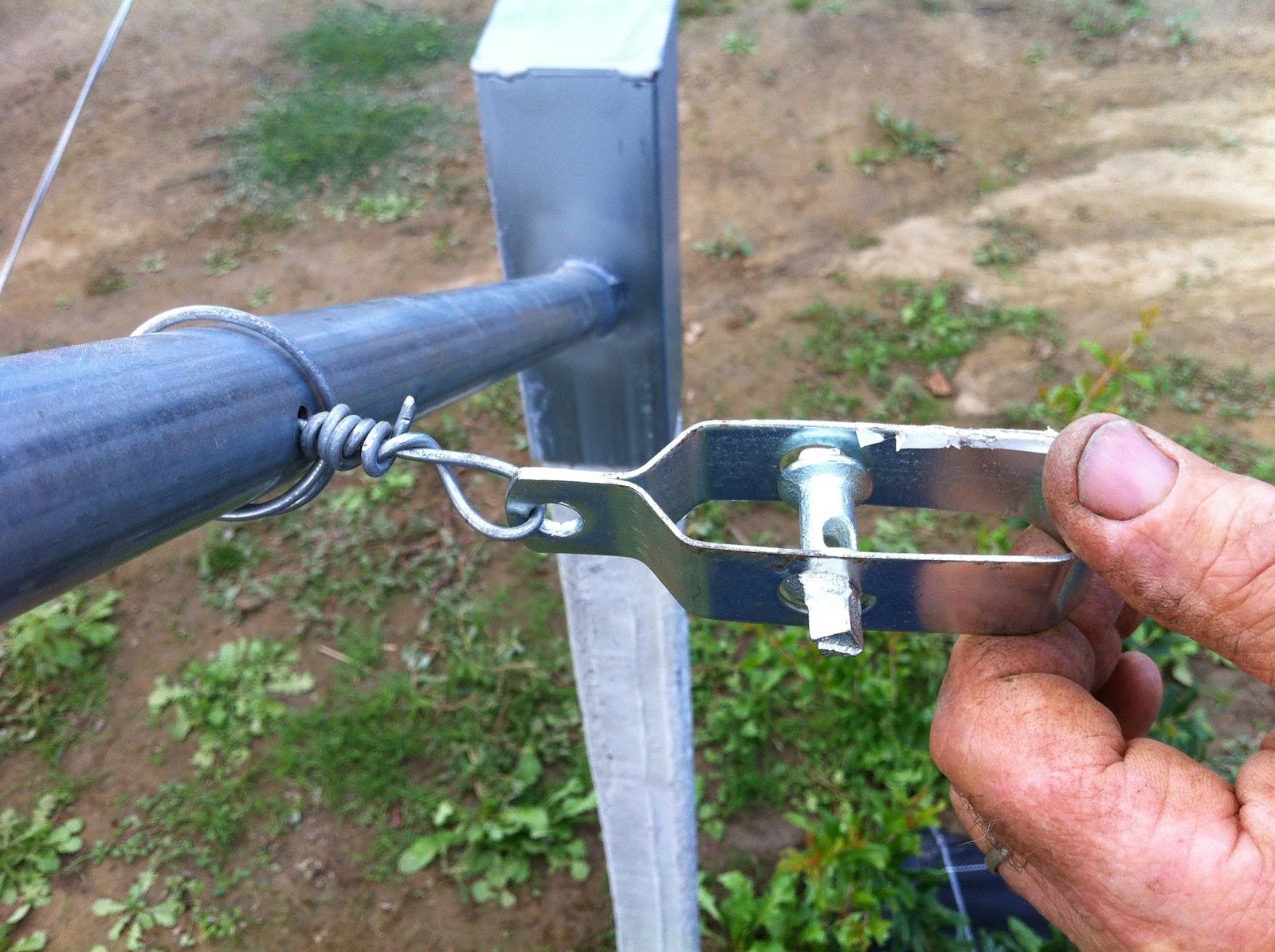 Connettori per cavo Simplex VOSS.farming, 3 mm, zincati, 5 pz