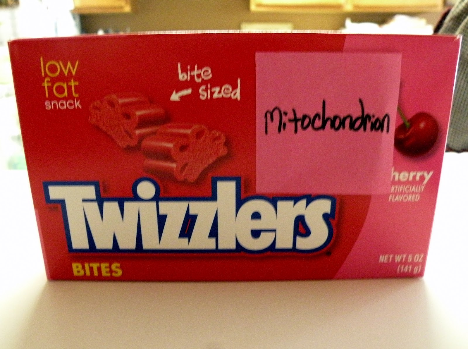 The Fantastic Five Jello Animal Cell