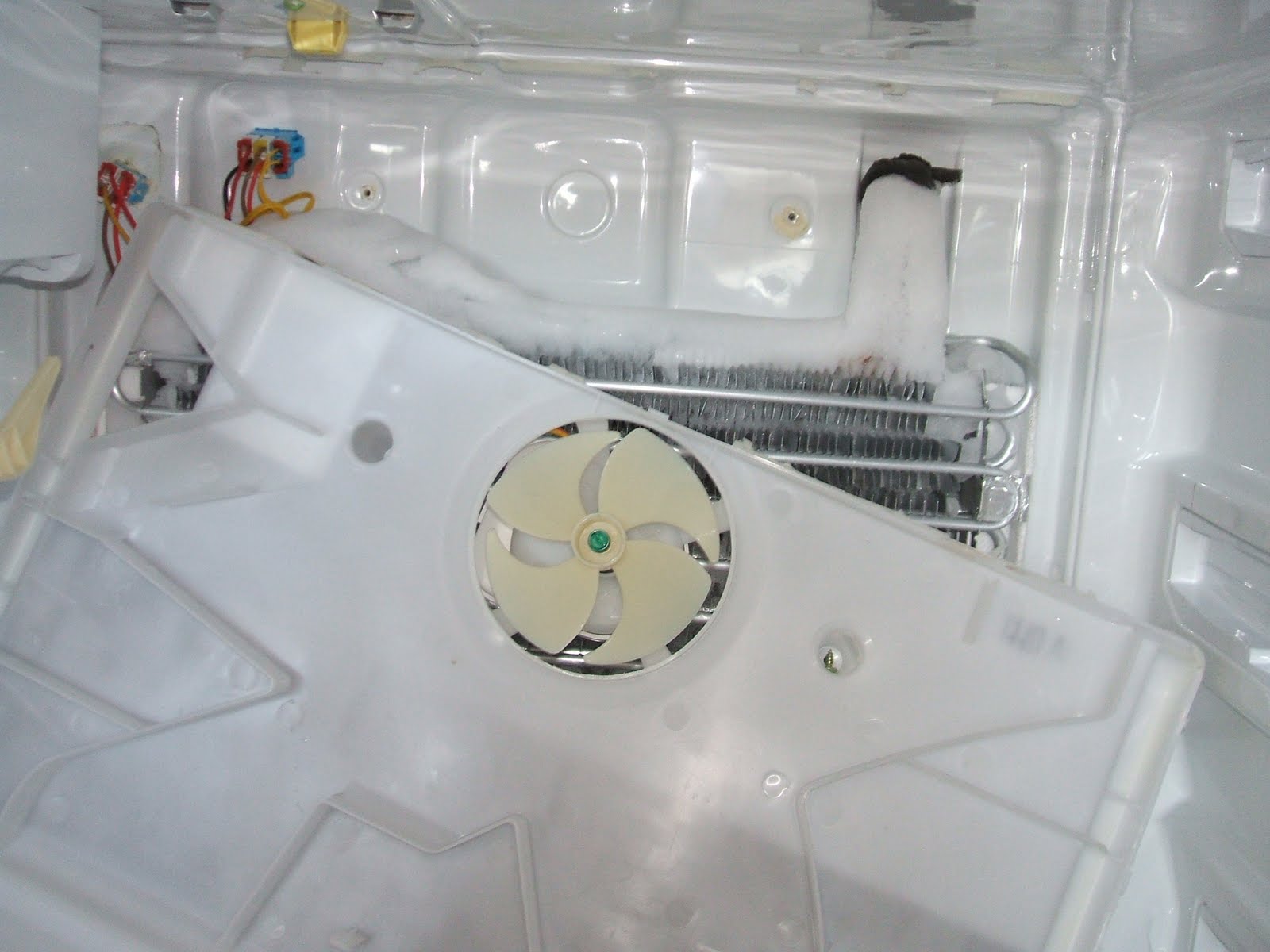 Lori's Travel & Other Adventures: Refrigerator Repairs - is my Samsung