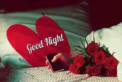 good night good night