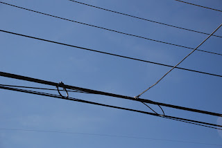 Mary Cartledgehayes: Accidental Art: Power Lines
