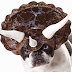 13 Most Hilarious Dog Halloween Costumes Ever!