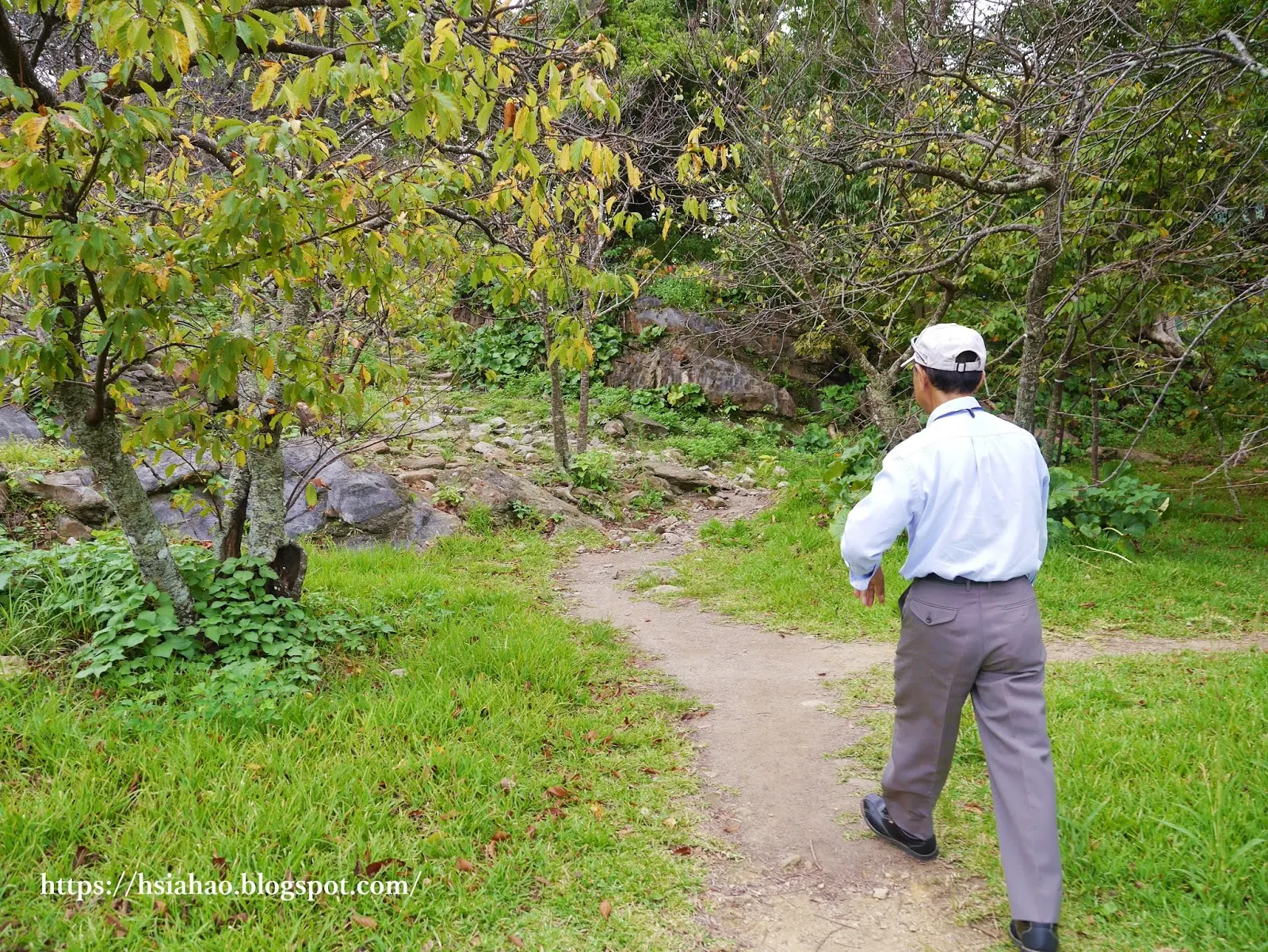 沖繩-景點-今歸仁城跡-今帰仁城跡-Nakijin-Castle-推薦-自由行-旅遊-Okinawa