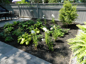 Greektown Toronto garden design after by Paul Jung Gardening Services