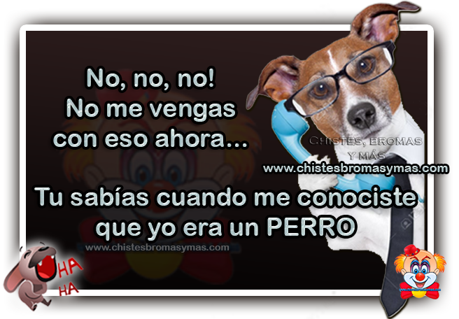 Resultado de imagen para Sabias tu que.