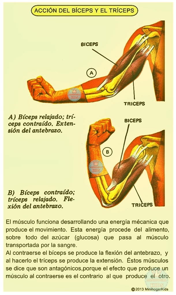 Minihogar Kids Minihogar Kids