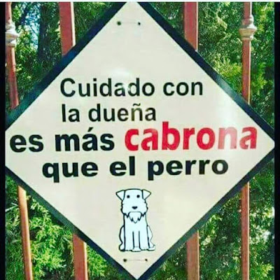 Cuidado con la dueña, es más cabrona que el perro Cuidado con la dueña, es más cabrona que el perro