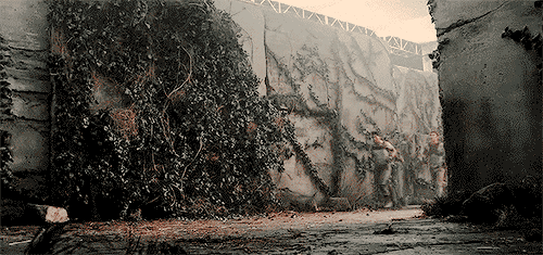 메이즈러너 기홍 뛰는 폼.gif (스압, | 인스티즈