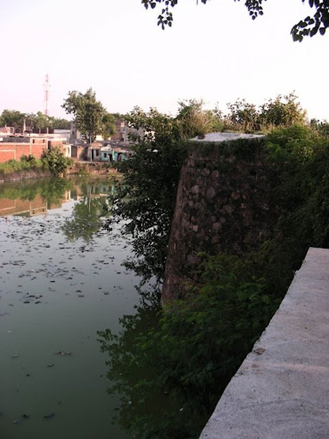Parola 3