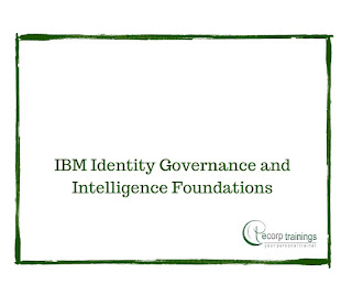 IBM Identity Governance and Intelligence Foundations Training in Hyderabad India