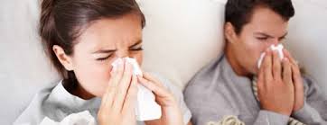 Obat Tradisional Penyakit Flu Menahun Obat Tradisional Penyakit Flu Menahun