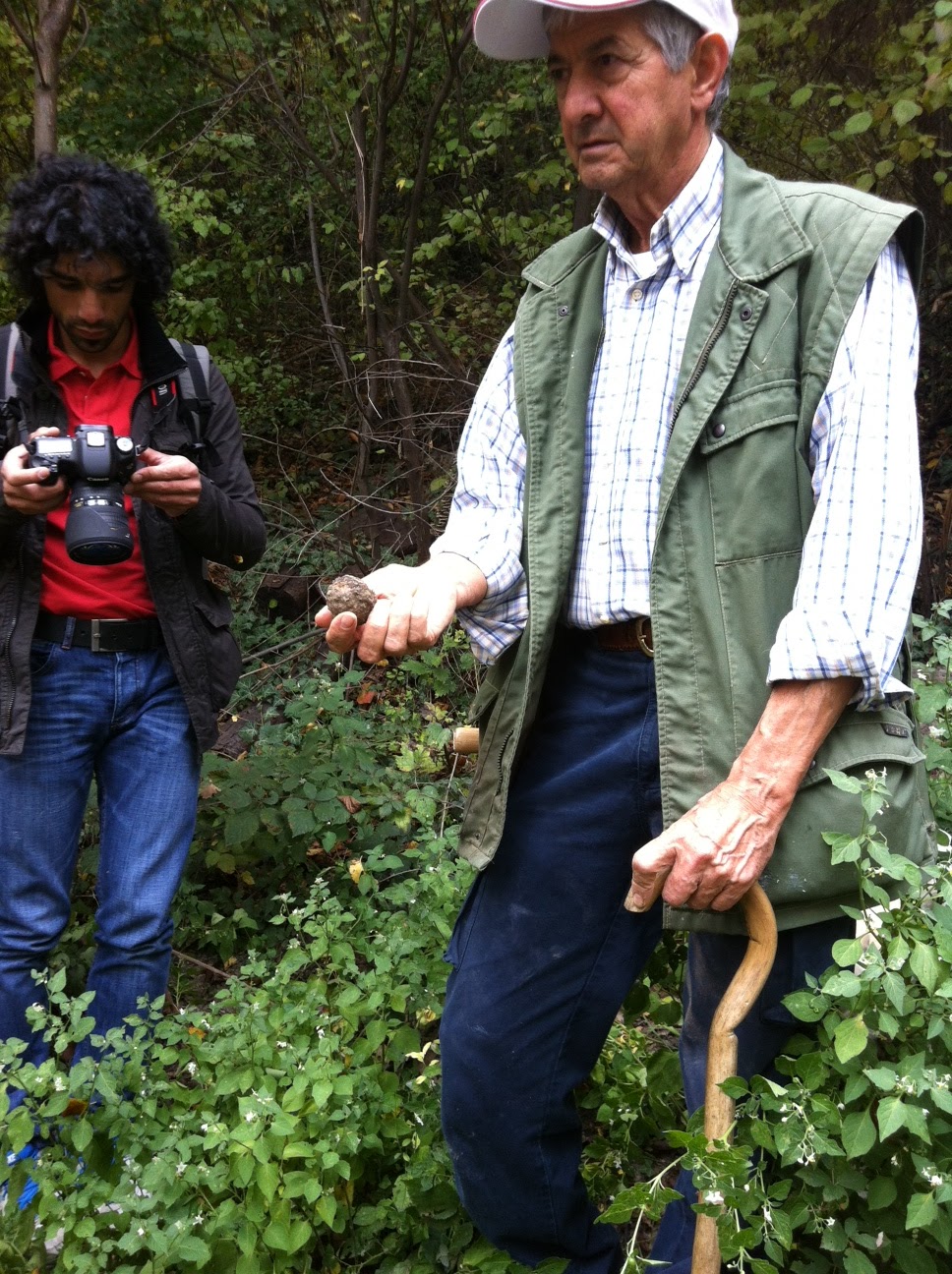 Wine Mise en abyme Truffle hunting in wine country Decanter's