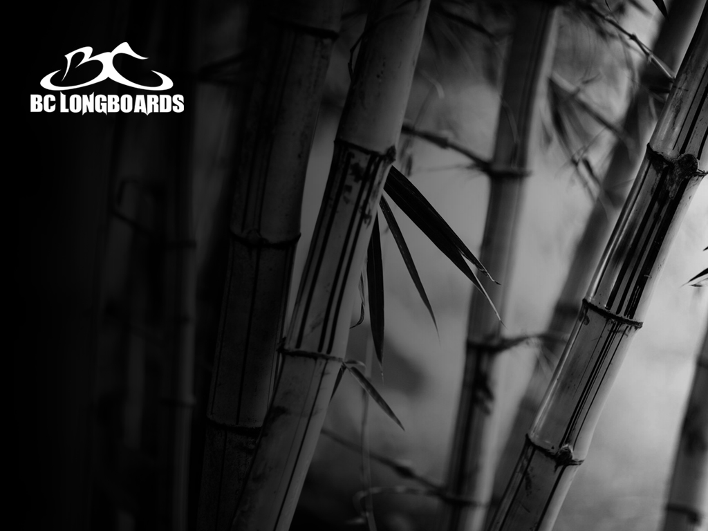 Bamboo Wallpaper Bamboo Textured Wallpaper