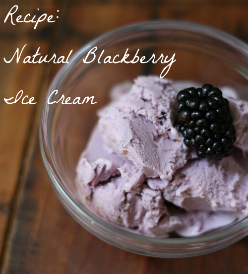Recipe Homemade Blackberry Ice Cream 17 Apart