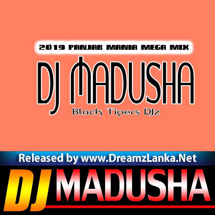 2019 Panjab Mania Mega Mix DJ Madusha