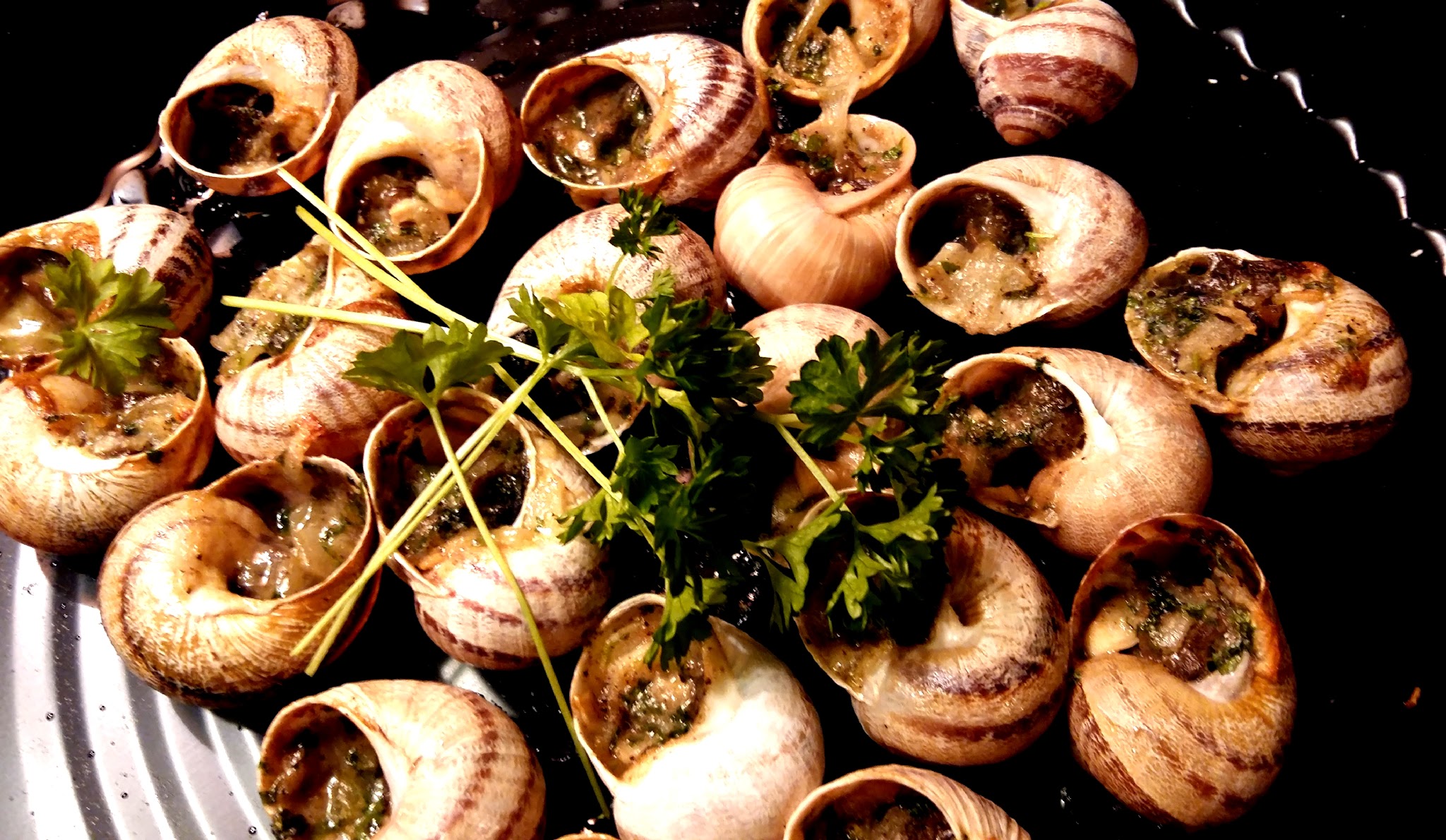 Snail's Valentine Day