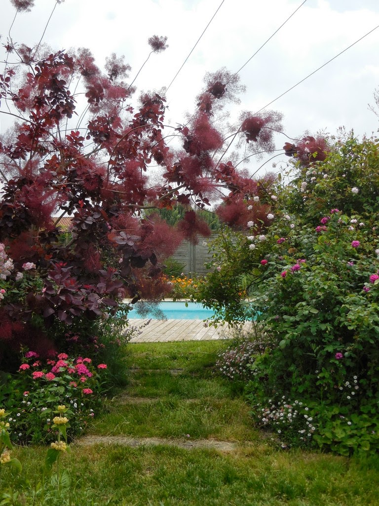 Cagouille's garden : visite de jardin : le jardin de la couture !